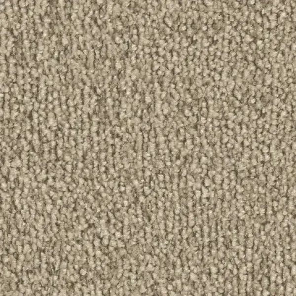 Vorwerk Safira Teppichboden Farbcode 8H72 – Draufsicht ohne Etikett